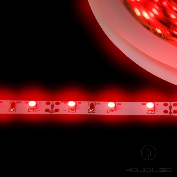 LED-strip SMD3528 12V 4,8W/m rood IP20 60LED/m
