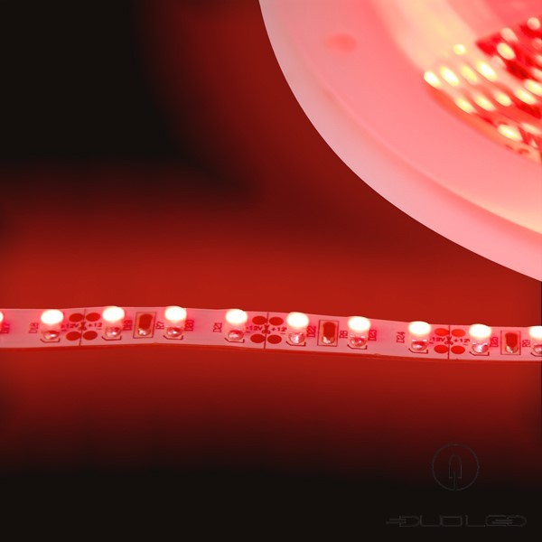 LED-strip SMD3528 12V 9,6W/m rood IP20 120LED/m