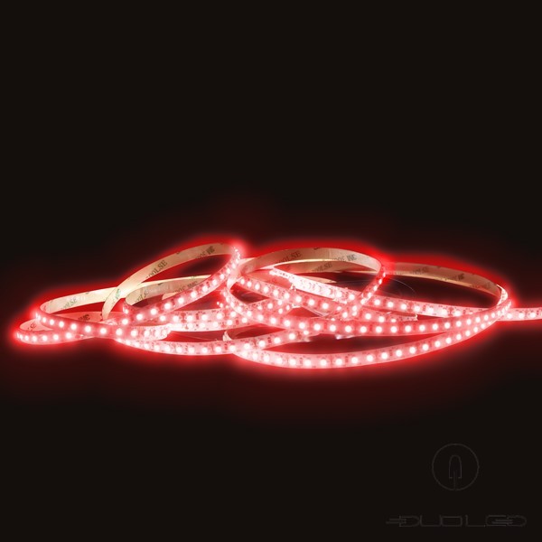 LED-strip SMD3528 12V 9,6W/m rood IP20 120LED/m