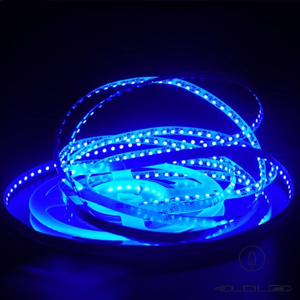 LED Strip SMD3528 12V 9.6W/m blau IP20 120LED/m