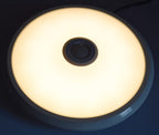 LED-opbouwlamp 12W 820lm K4000 PIR-bewegingsdetector